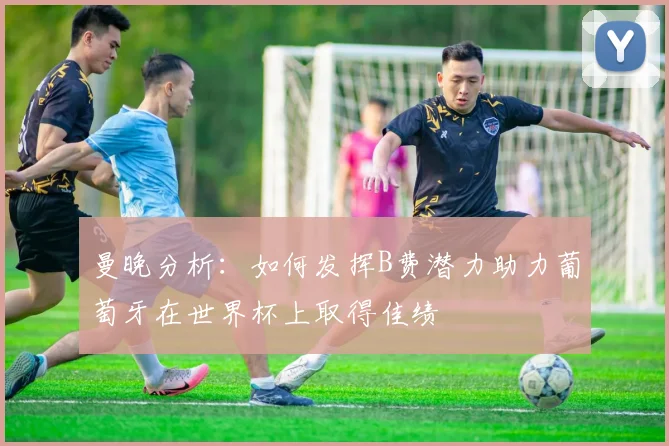 曼晚分析：如何发挥B费潜力助力葡萄牙在世界杯上取得佳绩