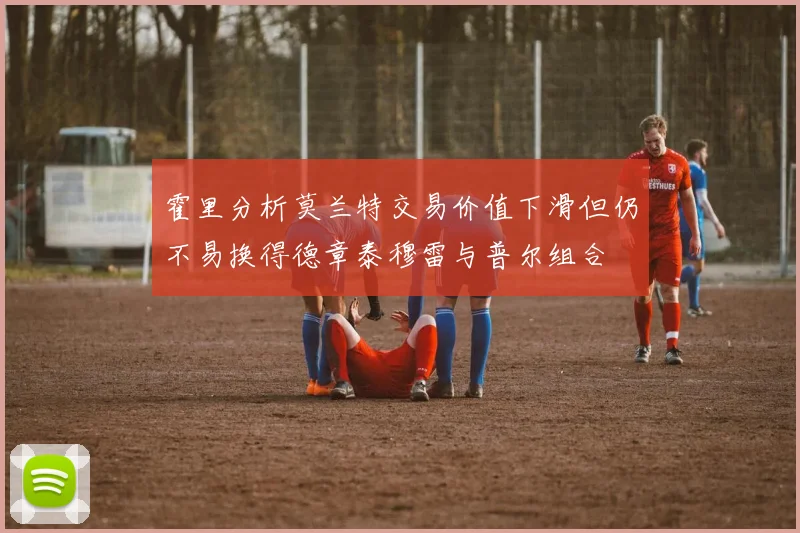 霍里分析莫兰特交易价值下滑但仍不易换得德章泰穆雷与普尔组合