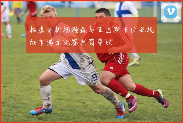 拓媒分析杨瀚森与亚当斯卡位犯规细节揭示比赛判罚争议