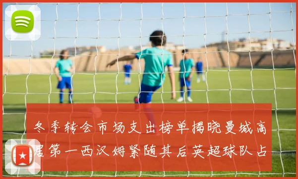 冬季转会市场支出榜单揭晓曼城高居第一西汉姆紧随其后英超球队占据五席